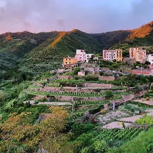 Gasthuis Arbanella, Corniglia